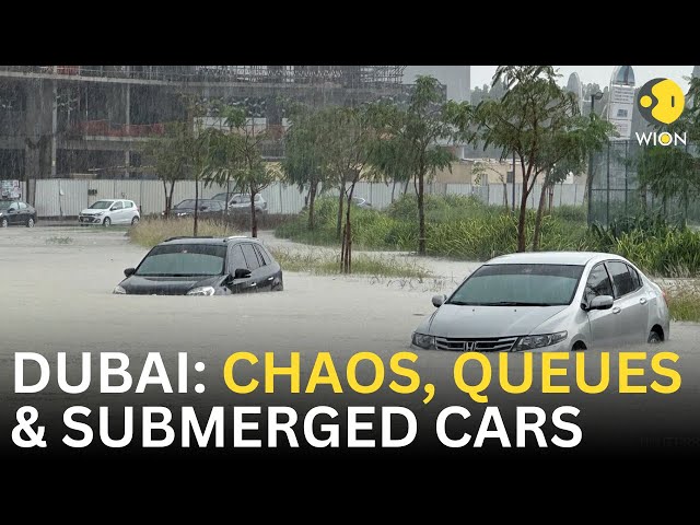 UAE Floods 2024 LIVE: UAE struggles to clean up post floods, traffic remains disrupted | WION LIVE