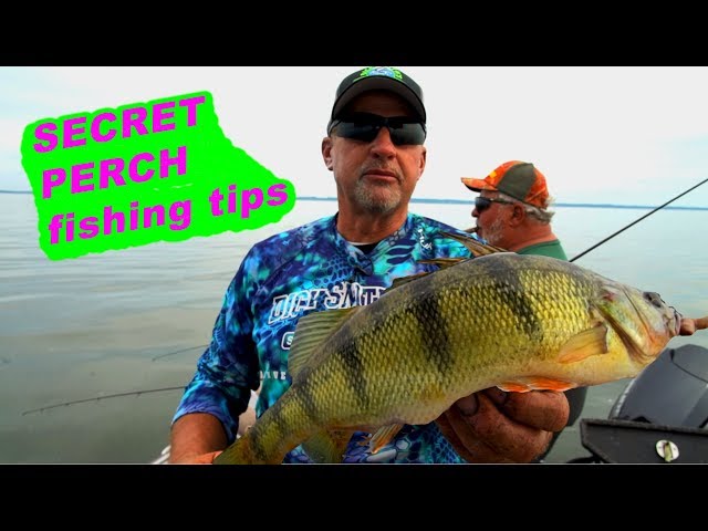 How to catch Mid-Summer JUMBO PERCH!!!