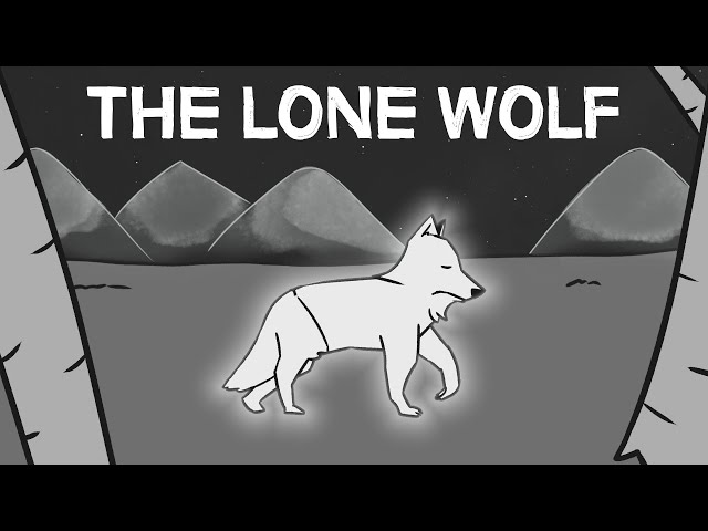 So, you're a lone wolf?