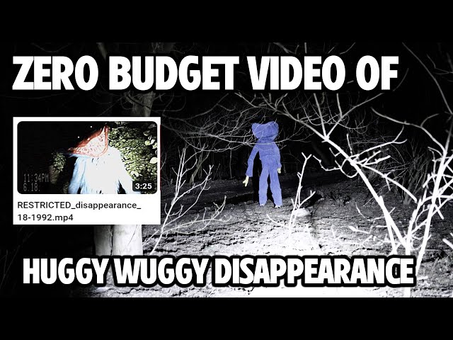 Huggy Wuggy Disappearance Footage - Zero Budget