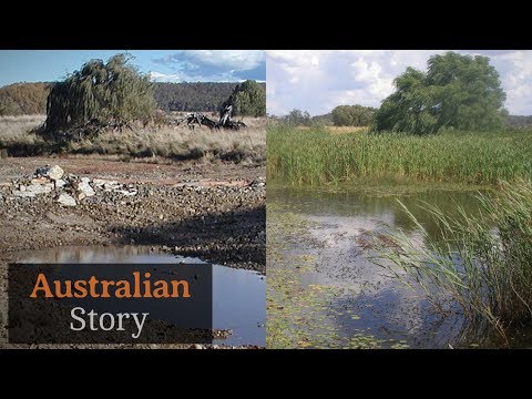 Natural sequence farming: How Peter Andrews rejuvenates drought-struck land | Australian Story