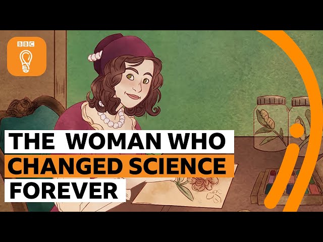 Maria Sibylla Merian: The woman who changed science forever | BBC Ideas