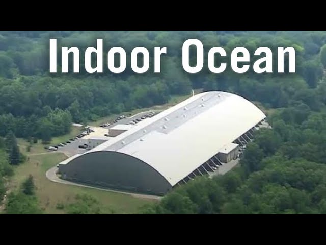 Inside US Navy's Massive Indoor Ocean