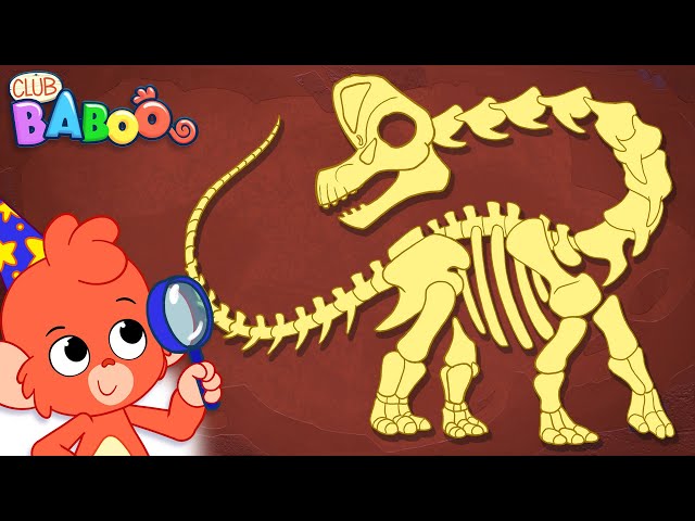 Help Baboo put together this huge Brachiosaurus skeleton! | Club Baboo |  Dinosaurs | Spinosaurus