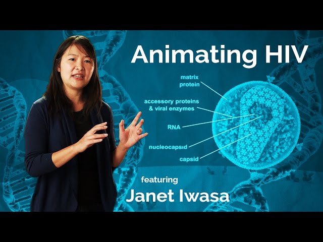 Janet Iwasa: Animating HIV