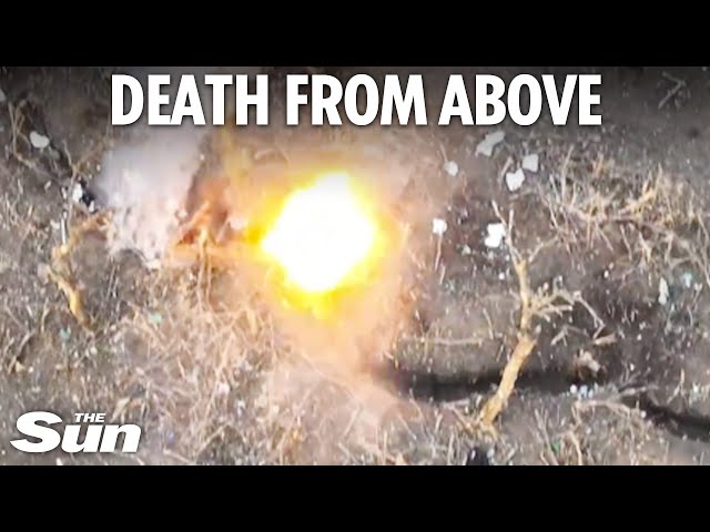 Terrified Russian soldiers flee as Ukrainian kamikaze drones hunt them down
