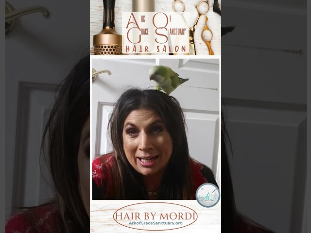 Hair By Mordi - 5 Star Review