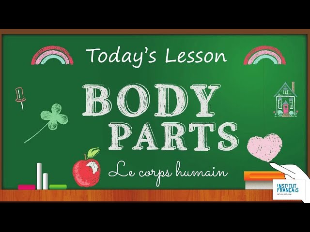 Learn & Play: Body Parts