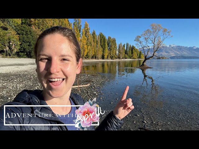 April's New Zealand Roadtrip | Part 4 - Punakaiki to Queenstown
