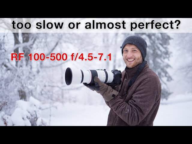 The perfect all-round zoom for wildlife photography? RF100-500 long term review