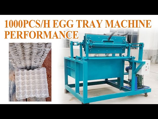 Small Egg Tray Production: Witness the Excellence of Egg Tray Making Machine! #eggtraymachine