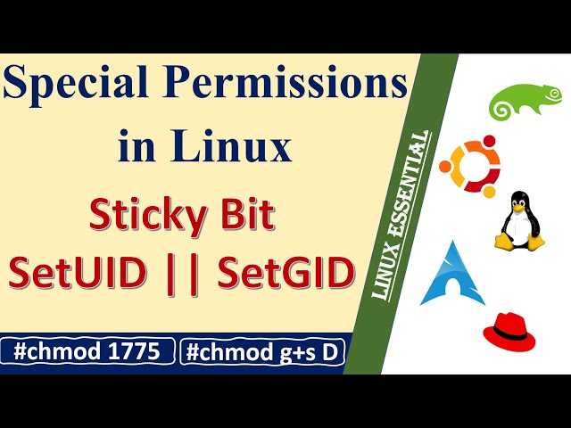 How to use Sticky bit in Linux || SetUID || SetGID || Linux Special Permissions
