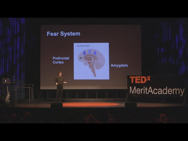 Trauma on the Brain: The Neurobiological Effects of PTSD | Daisy Payton | TEDxMeritAcademy