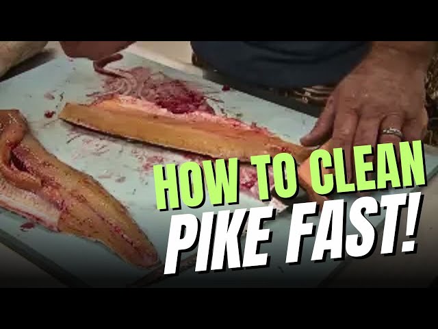 How to Clean Northern Pike FAST!!!