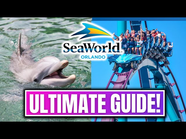 Seaworld Orlando - Everything You Need To Know About The Park!
