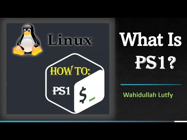 Tutorial on 'What IS PS1?`