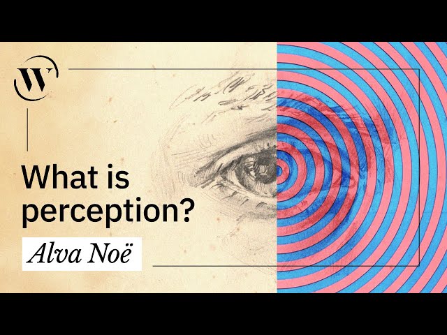 Perception, explained in 3 minutes  | Alva Noë
