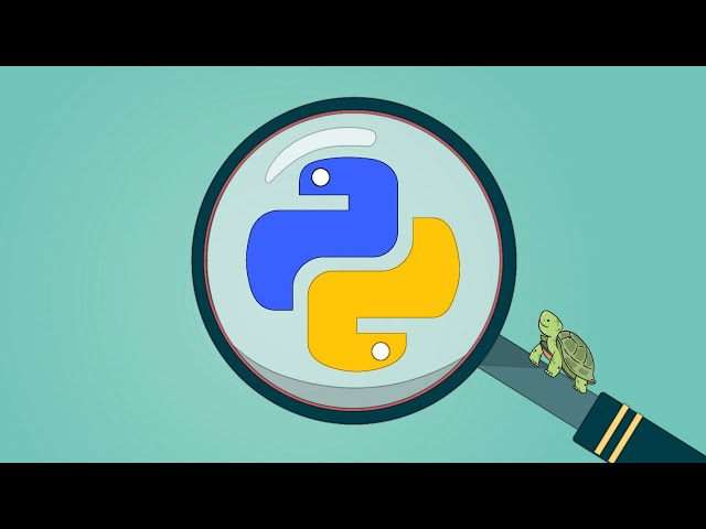 Python & Turtle: A Practical Guide for Beginners and Beyond (Preview)