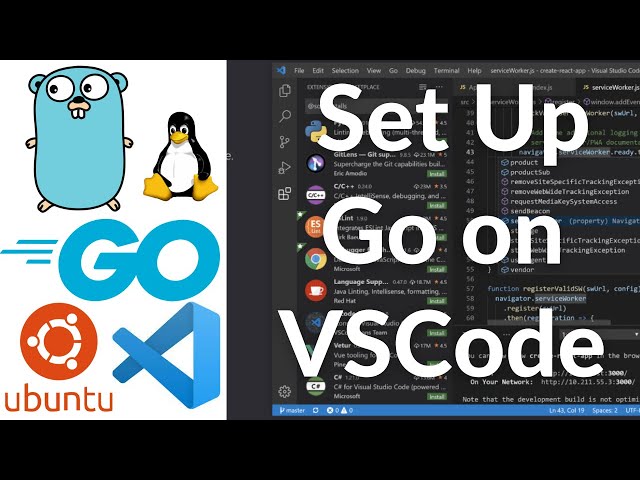 How to Set Up Go Development in Visual Studio Code on Ubuntu 22.04 LTS | Install Golang on Ubuntu