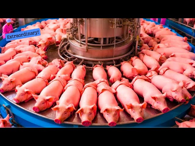 14 Satisfying Videos ►Modern Technological Food Processors Operate At Crazy Speeds Level 81