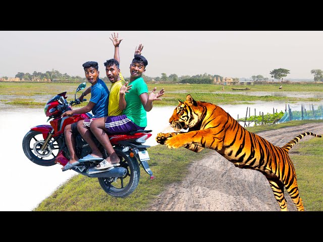 Must Watch Bike Chor Tiger Attack New Funny Comedy Video 😎Totally Amazing Comedy Episode 281