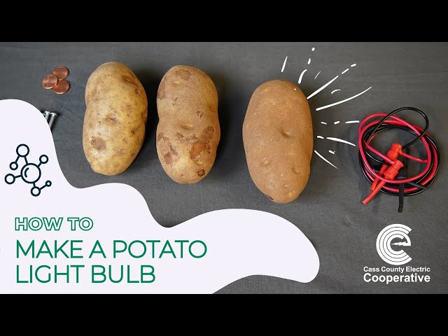 Potato POWER: How to make a potato light bulb