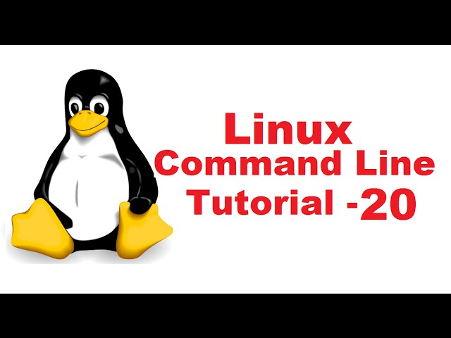 Linux Command Line Tutorial For Beginners 20 - Introduction to Bash Scripting