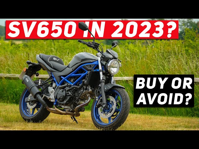 Should you BUY or AVOID the Suzuki SV650 in 2023?