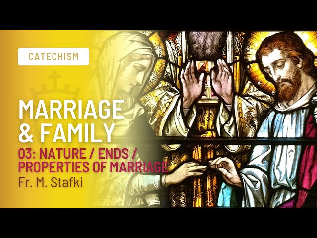 Nature / Ends / Properties of Marriage. Marriage & Family | Episode 03 | Fr. Stafki