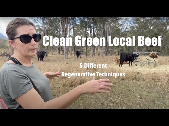 On-farm with Karen Jarling - 5 Different Regenerative Techniques - Regenerative Farming Revolution