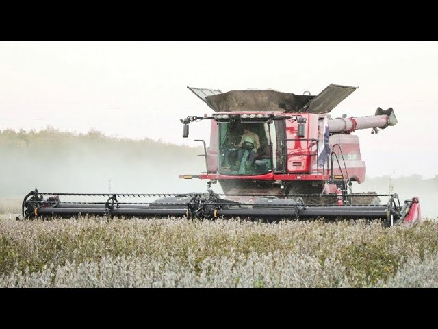 Soybean Harvest 2020 (Afrikaans) EP 5