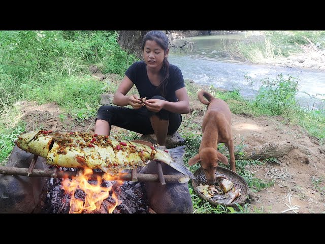 Survival in forest: Meet a big fish in river for food - Grilled big fish spicy delicious
