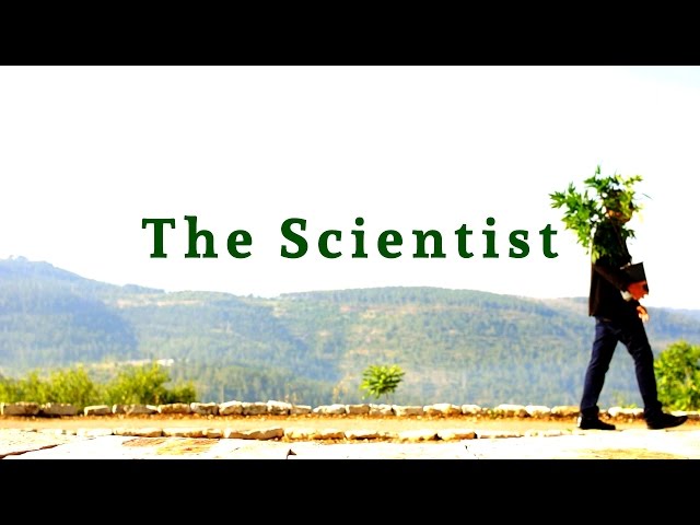 El científico (The Scientist) - Subtitulos en Español