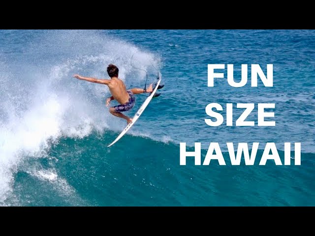 FUN SIZE WAVES on the North Shore 2023