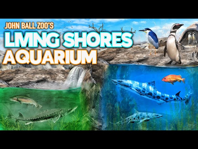 Zoo Tours: Living Shores Aquarium | John Ball Zoo