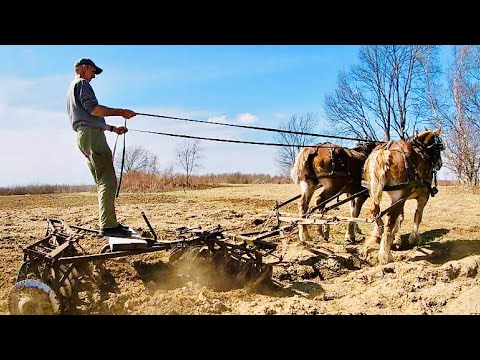 Draft Horse Farming