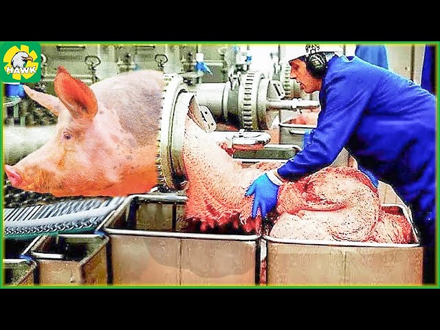 Modern Food Processing Machines Operating at an Insane Level | Processing Factory