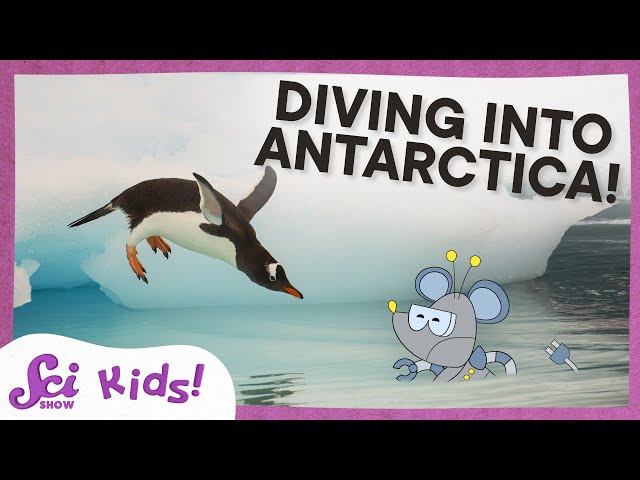 Exploring Antarctica: From Penguins to the Coldest Seas | SciShow Kids Compilation