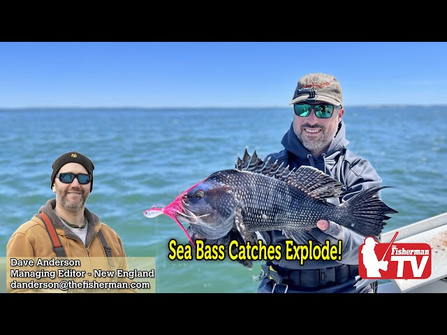 June 9th 2022 New England Video Fishing Forecast with Dave Anderson