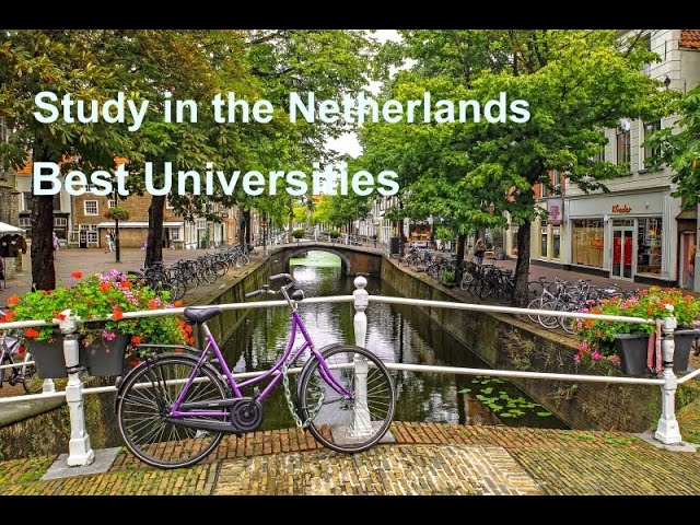 Best universities in the Netherlands for international students
