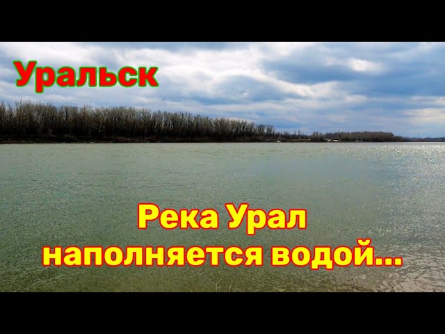 Река Урал наполняется водой!