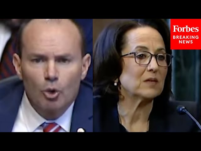 'You Didn't Disclose That To The Committee, Did You?': Mike Lee Brutally Grills Judicial Nominee