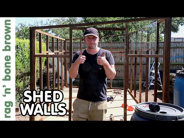 Shed Walls and Framing (PART 3 SHED BUILD PROJECT)