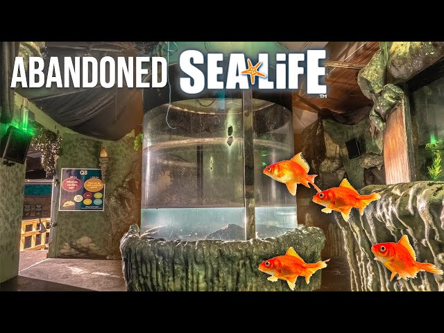We explored the abandoned SEA WORLD aquarium in Scotland | Closed since 2018
