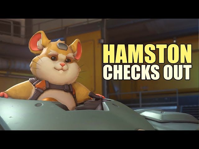 Hamston Checks Out