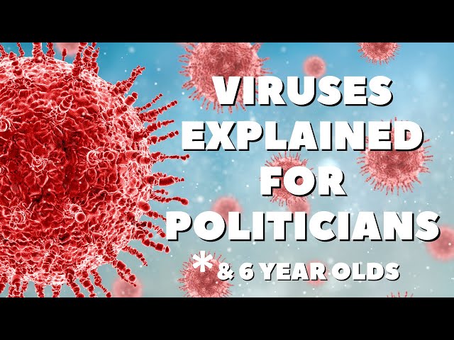 Viruses Explained for Politicians (And Kids)