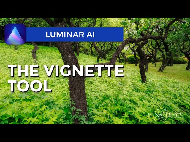 The Vignette Tool - Luminar AI