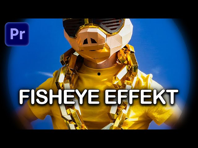 FISHEYE LENS EFFEKT erstellen | Premiere Pro Tutorial