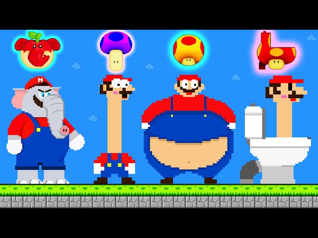 Mario All Powerups in New Super Mario Bros. Wii | Game Animation