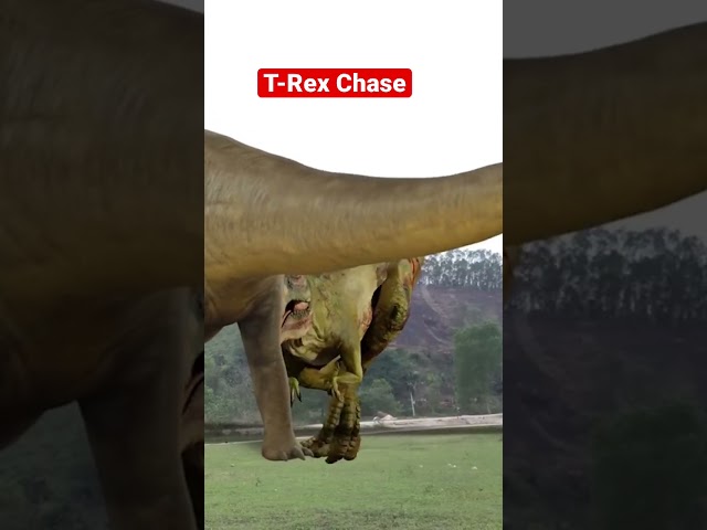 T-rex chase in real life | Dinosaur | Ms.Sandy